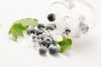 【送料込み】果物の恵み　朝摘み取りの冷凍ブルーベリー　500ｇ　