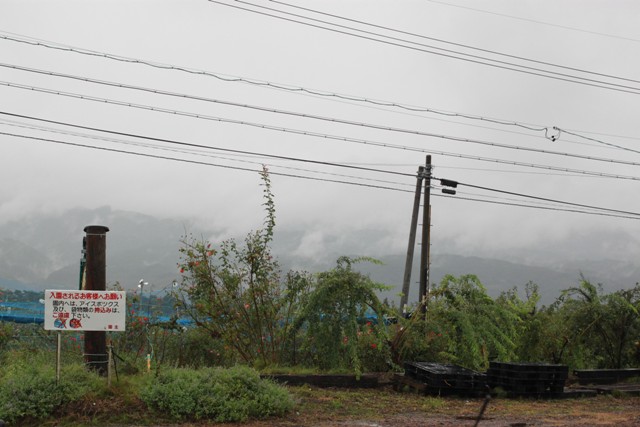 画像: 台風